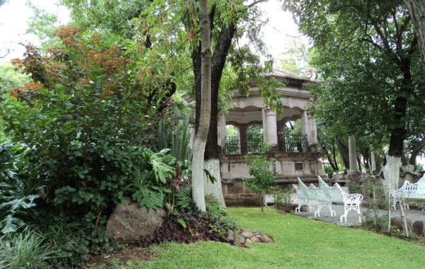 Jardín detallado