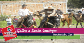 Gallos a Santo Santiago