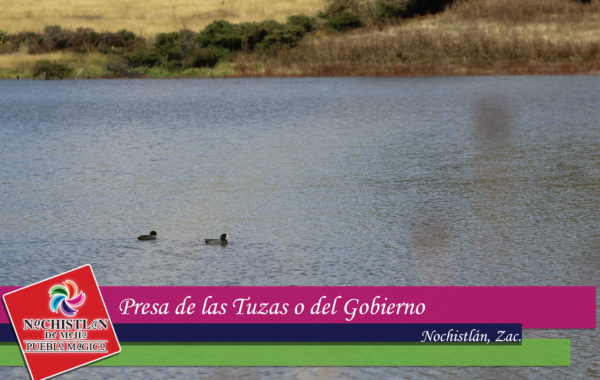 Presa del Gobierno