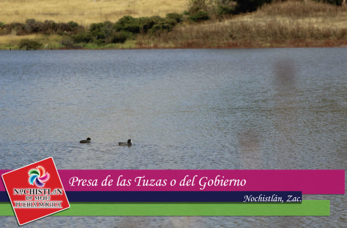 Presa del Gobierno