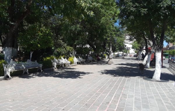 Jardín Morelos a medio día